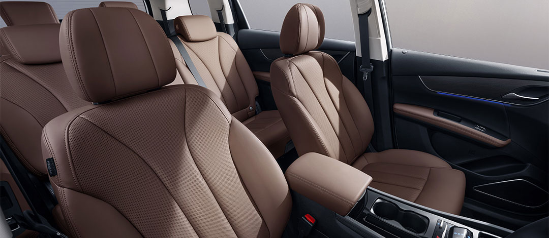 6 BYD M6