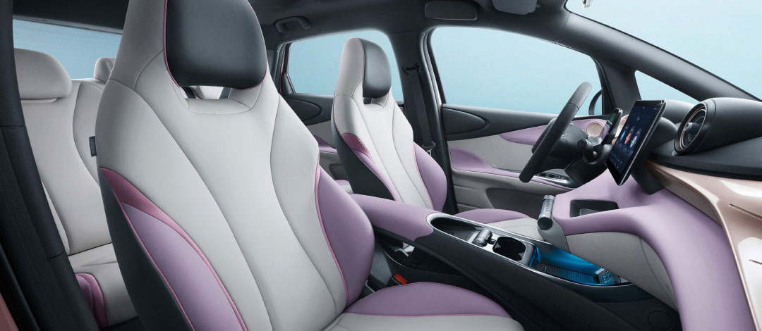 DOLPHIN PC Interior 4 BYD Dolphin